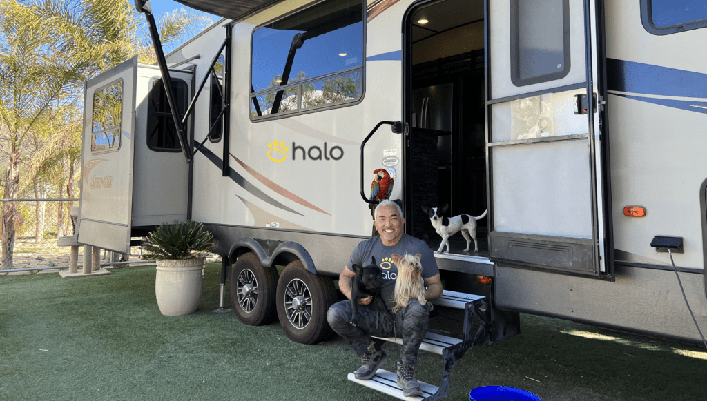 Halo Collar: la solución digital para vallas para perros en vehículos recreativos es perfecta para vehículos recreativos, cuenta con el entrenamiento de Cesar Millan